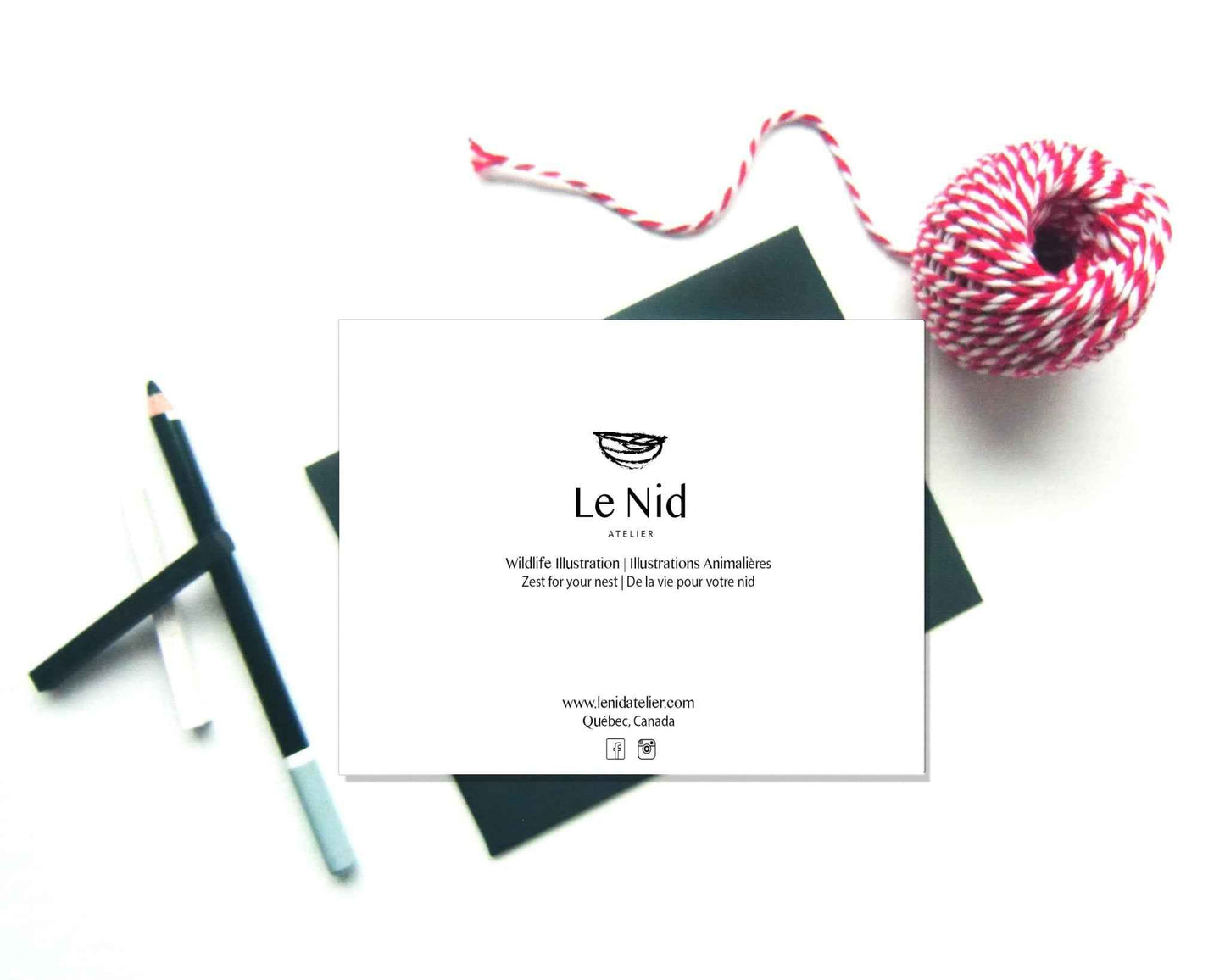 Cute Baby Otter Greeting Card