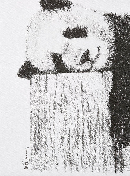 Cute sleeping Panda - Black and white art print