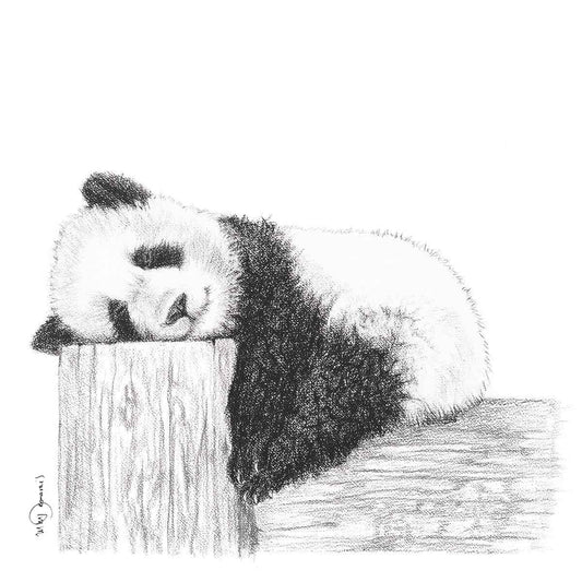 Cute sleeping Panda - Black and white art print