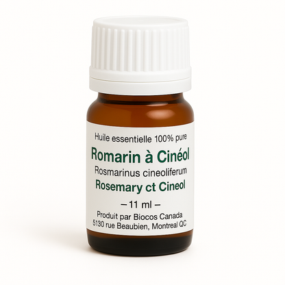 Romarin à Cinéol