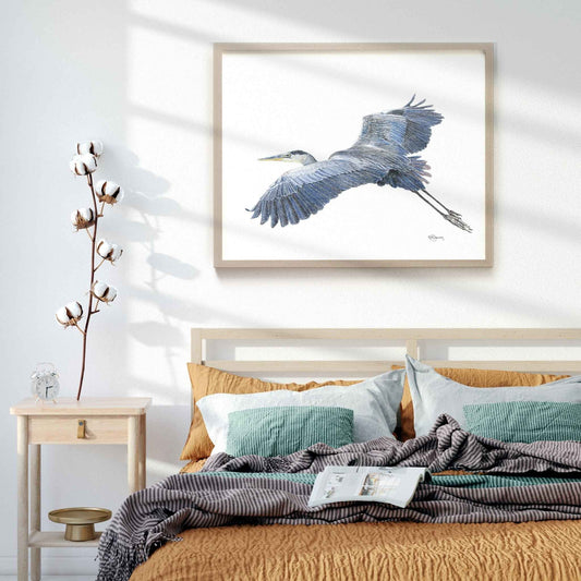 Great Blue Heron - Colored art print