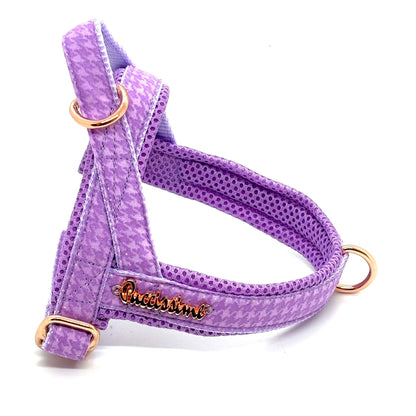 Mauve Leash with hands-free extension