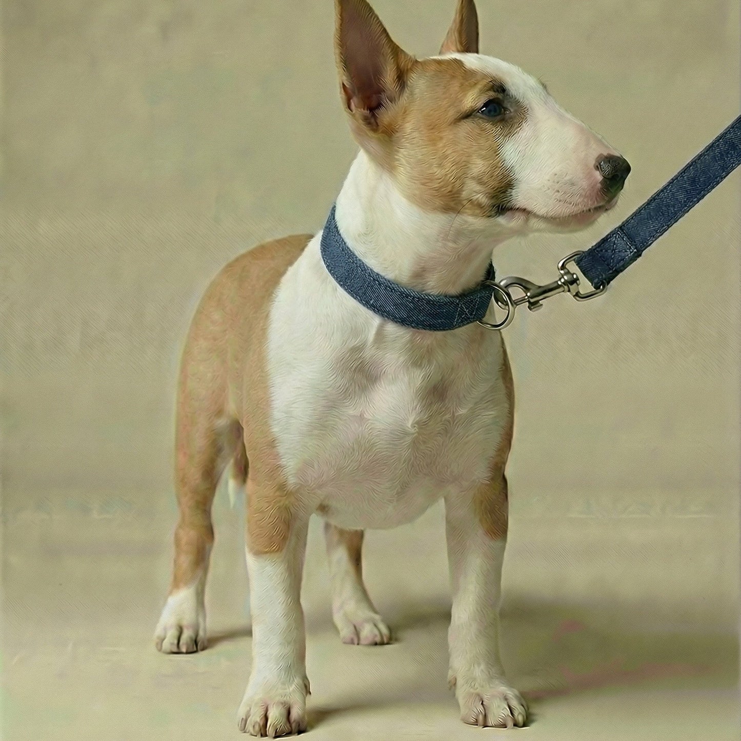 Denim Leash