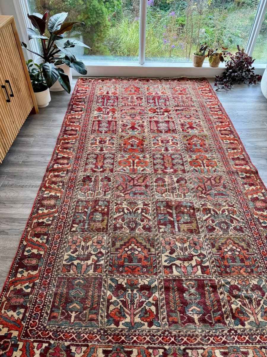 Perisan Bakhtiari Rug | 5' 1" x 9' 5"