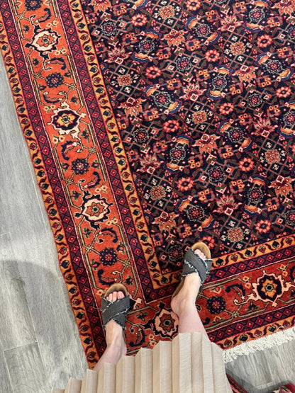 On Hold | Persian Ardabil Rug | 7' 3" x 10' 7"