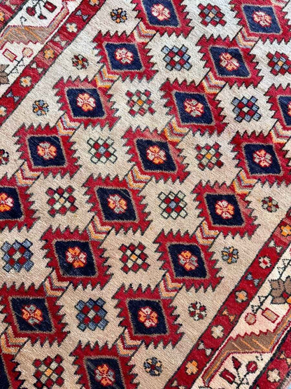 Persian Azerbaijan Runner Rug | 3' 10" x 9' 3"
