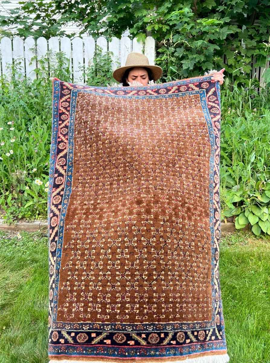 Persian Bidjar Rug | 3' 3" x 4' 9"