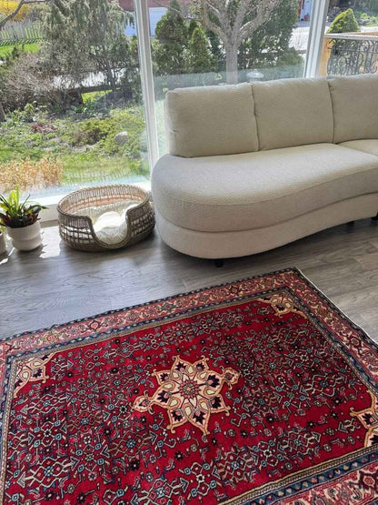 Persian Bidjar Rug | 3' 8" x 5' 4"
