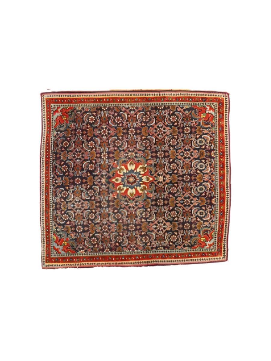 Persischer Bidjar Teppich | 2' 6" x 2' 8"