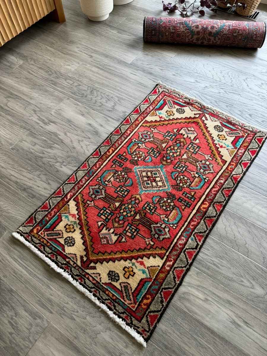 Persian Hamedan Rug | 1' 10" x 3' 1"