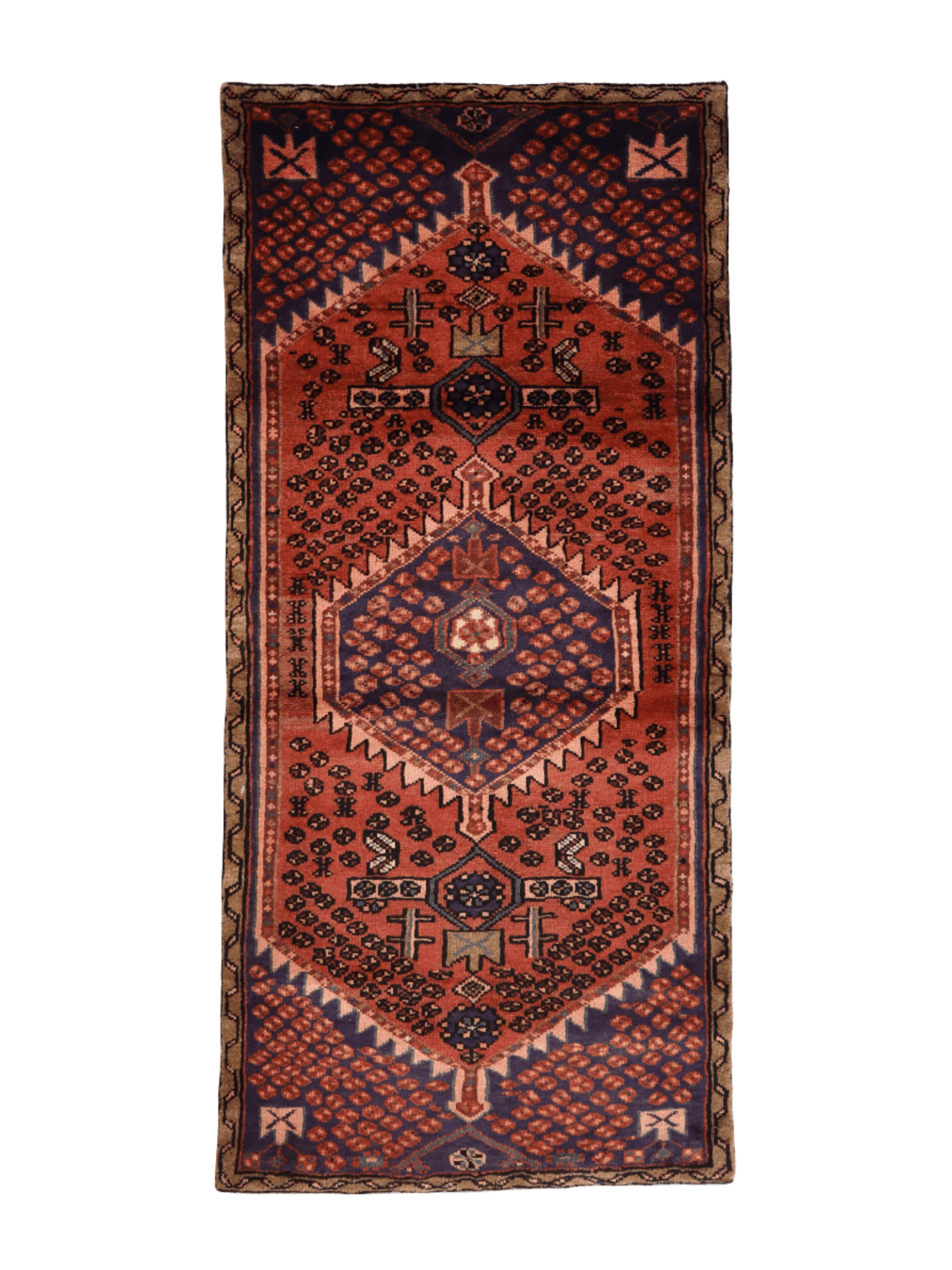Persian Hamedan Rug | 2' 9” x 6'