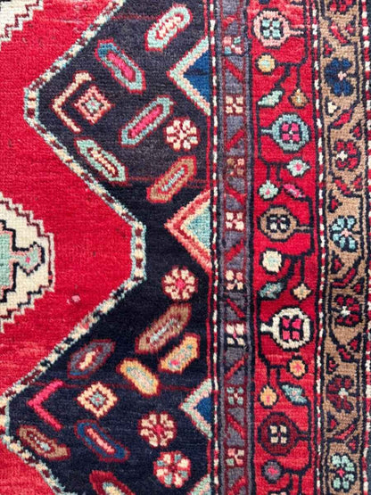 Persian Hamedan Rug | 3' 11" x 7' 1"