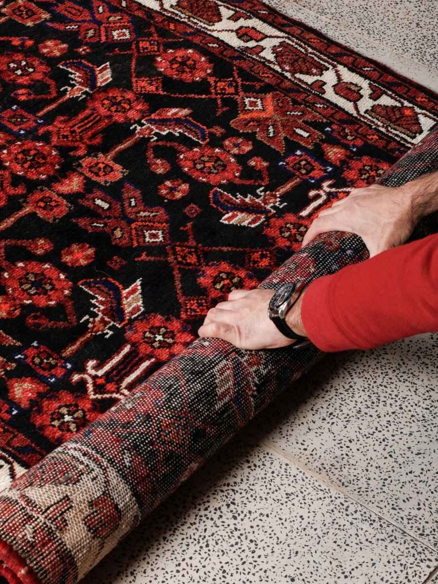 Persian Hamedan Runner Rug | 3' 8” x 9' 10"