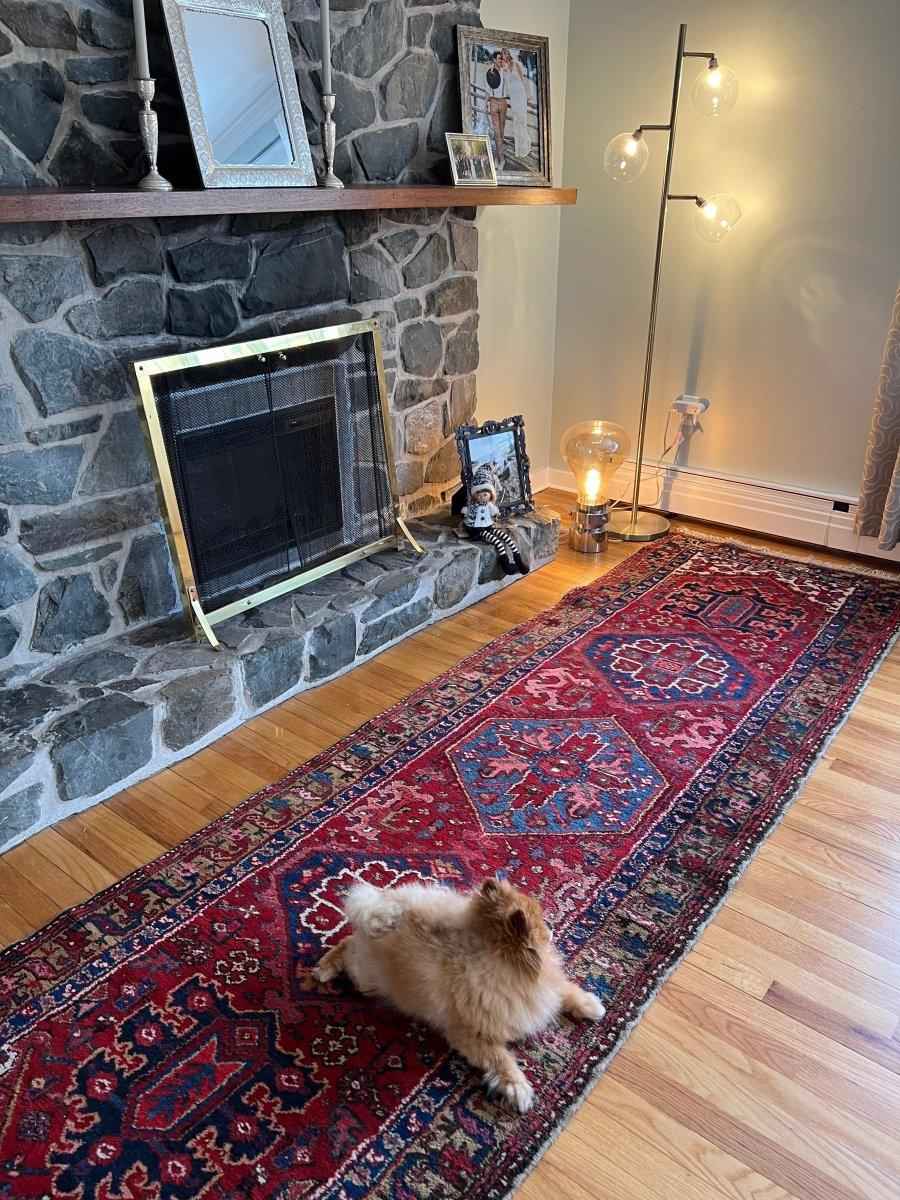 Persian Meshkin Runner | 10' 9" x 3' 2"