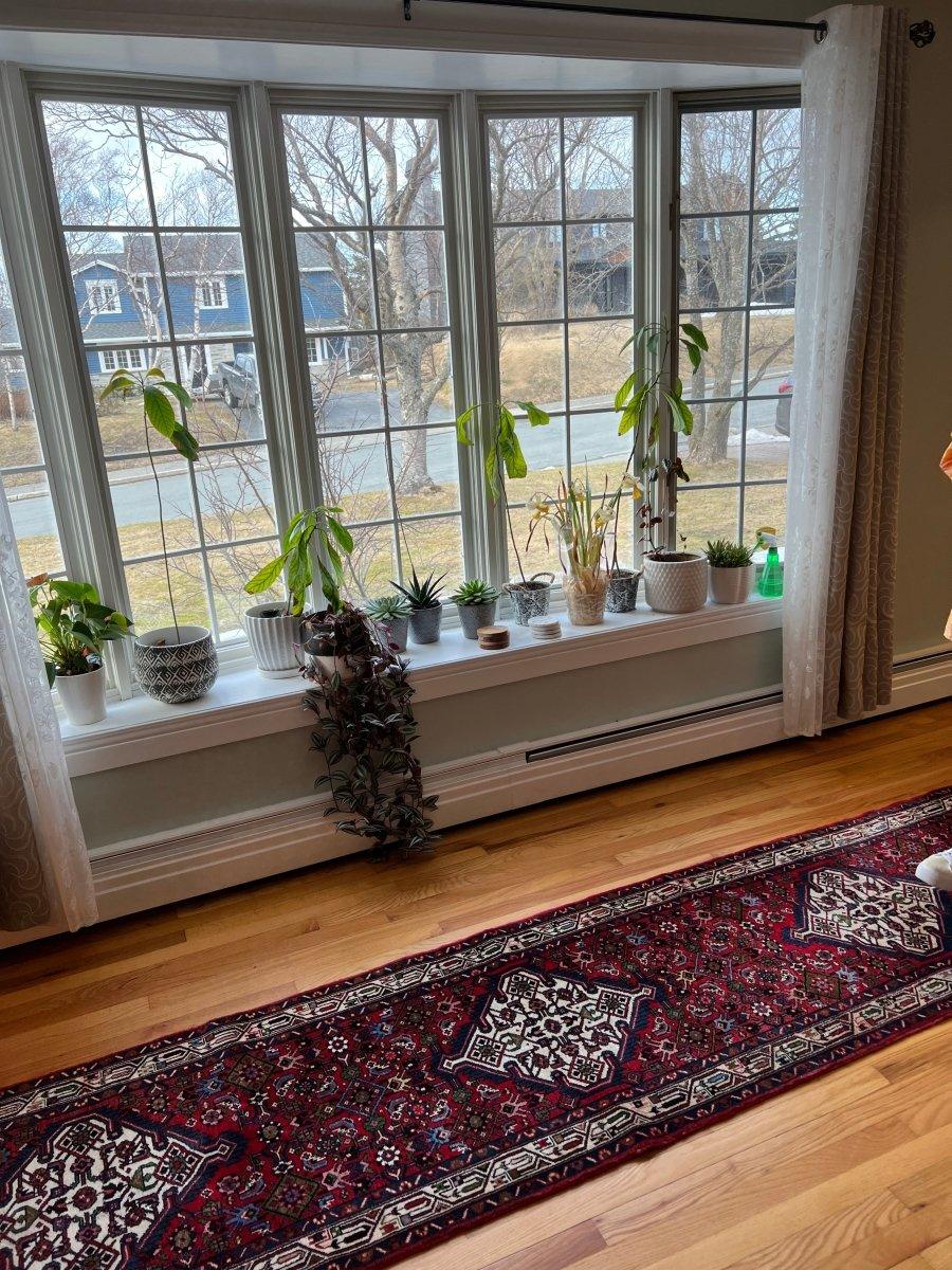 Persian Meshkin Läufer | 328 x 97 cm