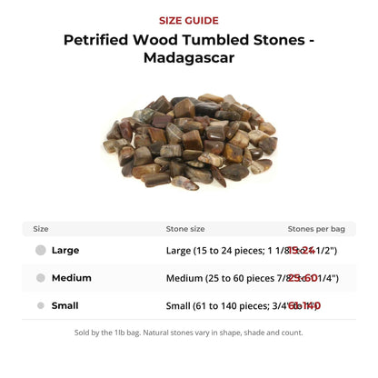 Petrified Wood Tumbled Stones - Madagascar