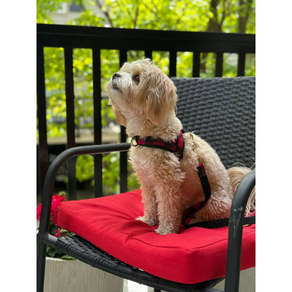 Canada One-Click Dog Harness