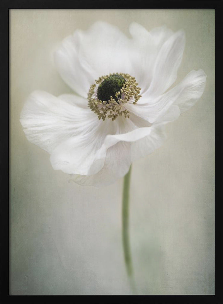 Single White