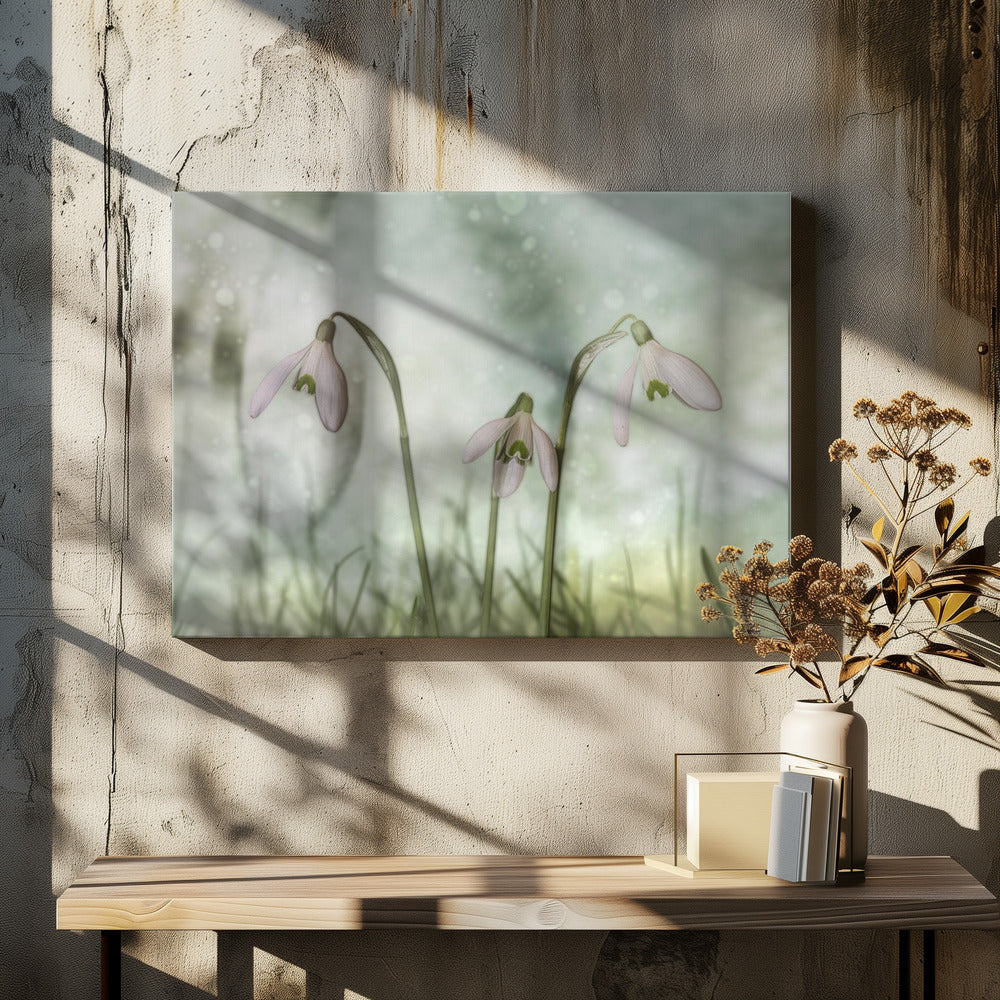 Wall Art Trio 2