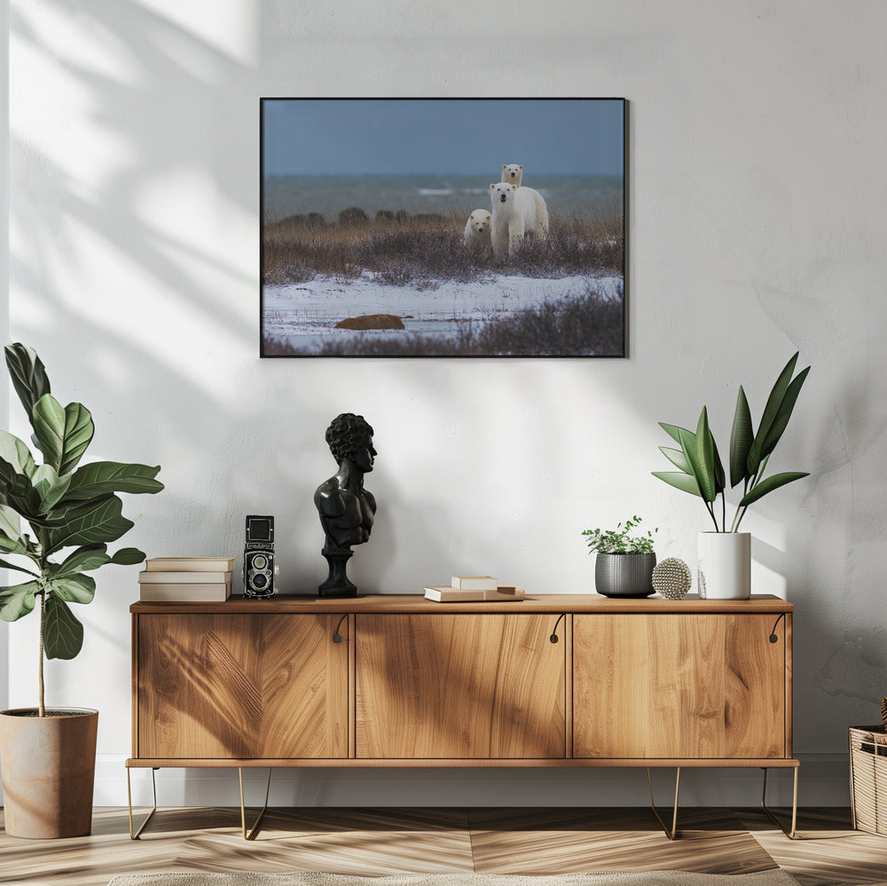 Wall art Mother bear with cubs, Hudson bay in the background