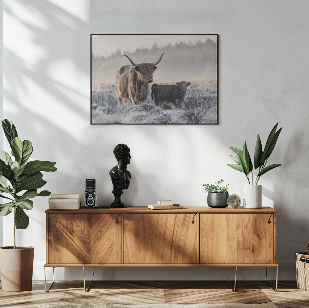 Wall art Highlander and Calf