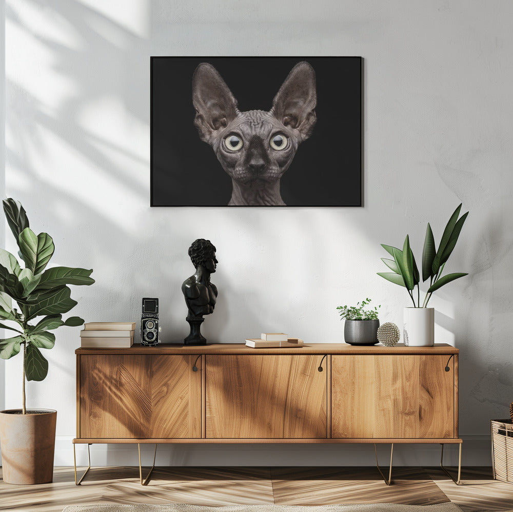 Wall art Sphynx Cat