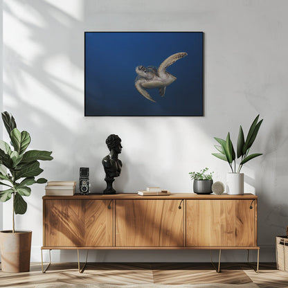 Wall art Green Turtle