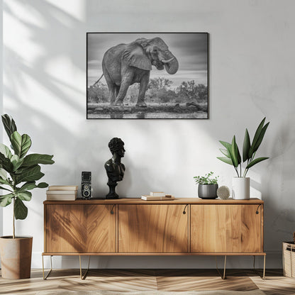 Wall art Standing Proud. Elephant
