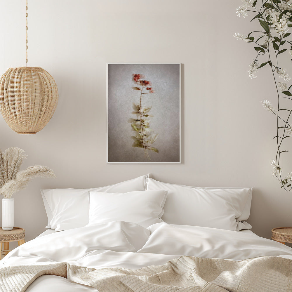 Wall Art Exposed