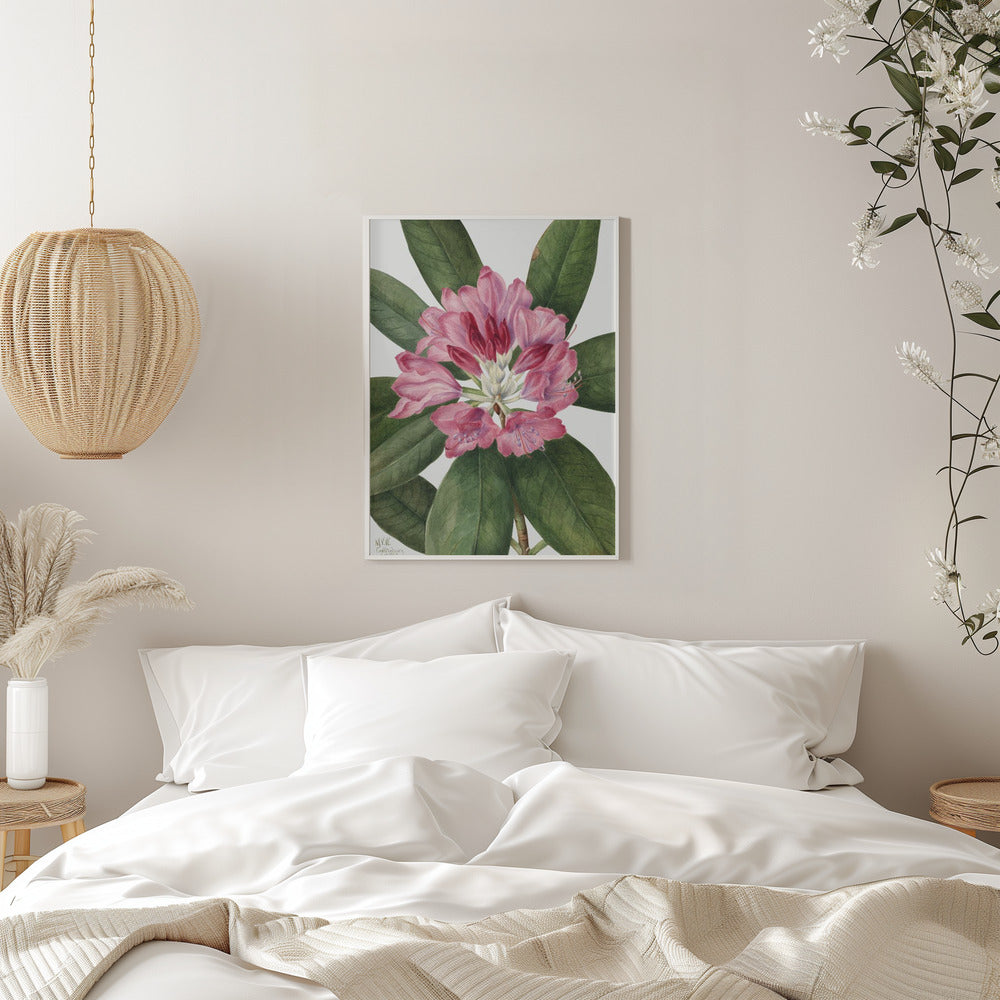 Wall Art Mountain Rose Bay (1932)