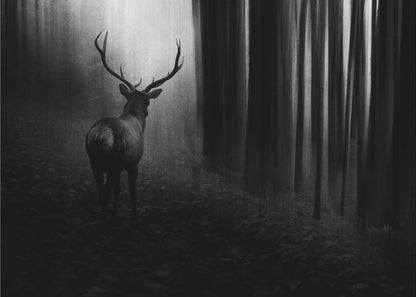 Wall art Stag. Deer