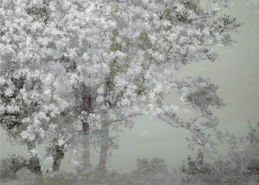 Wall Art Spring