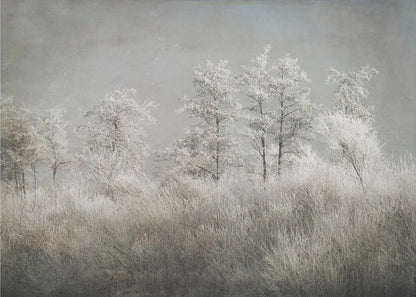 Wall art Cold morning