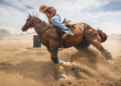 Bending Horse