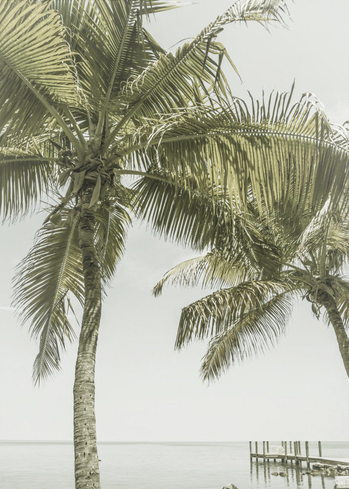 Wandbild FLORIDA Himmlischer Ort | Vintage