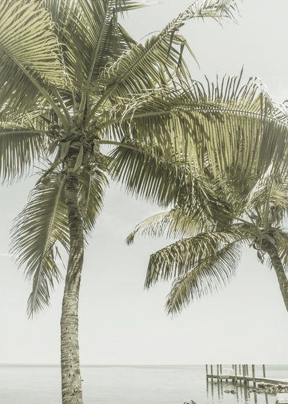 Wandbild FLORIDA Himmlischer Ort | Vintage