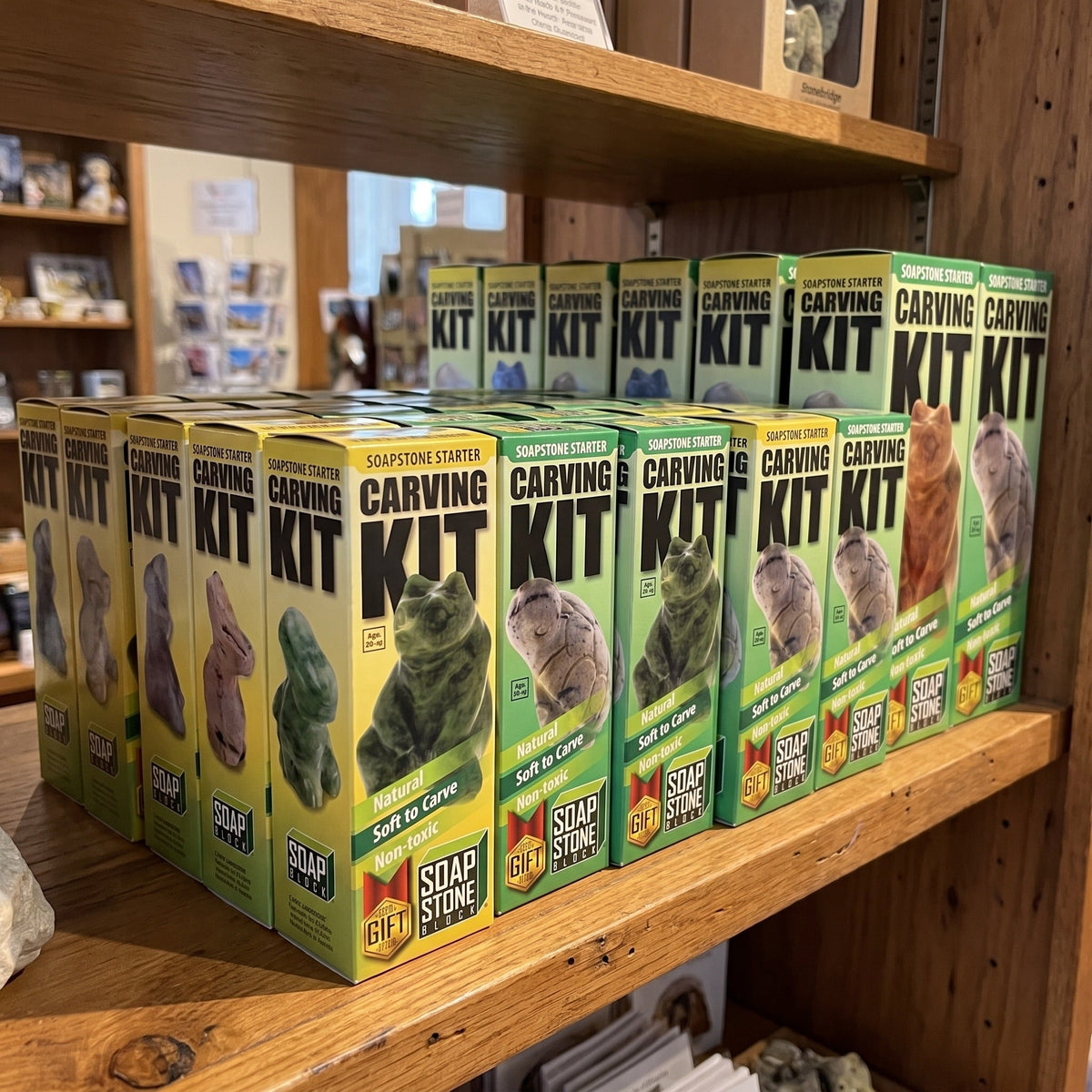 Soapstone Carving Kit - Make 3D Art 🦉🐢🐈 Choose Your Animal