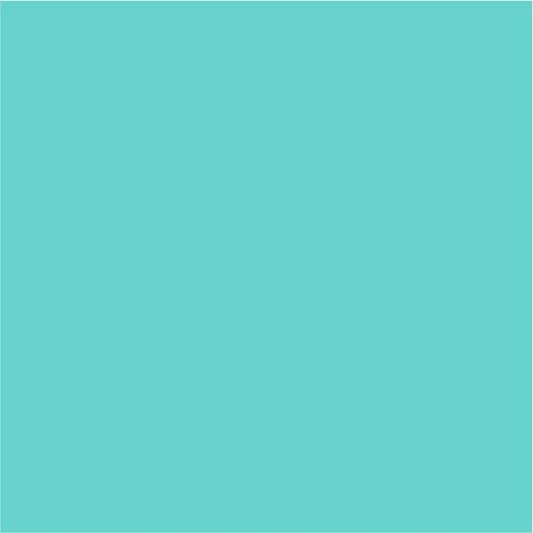 Siser Easyweed Stretch Sea Glass
