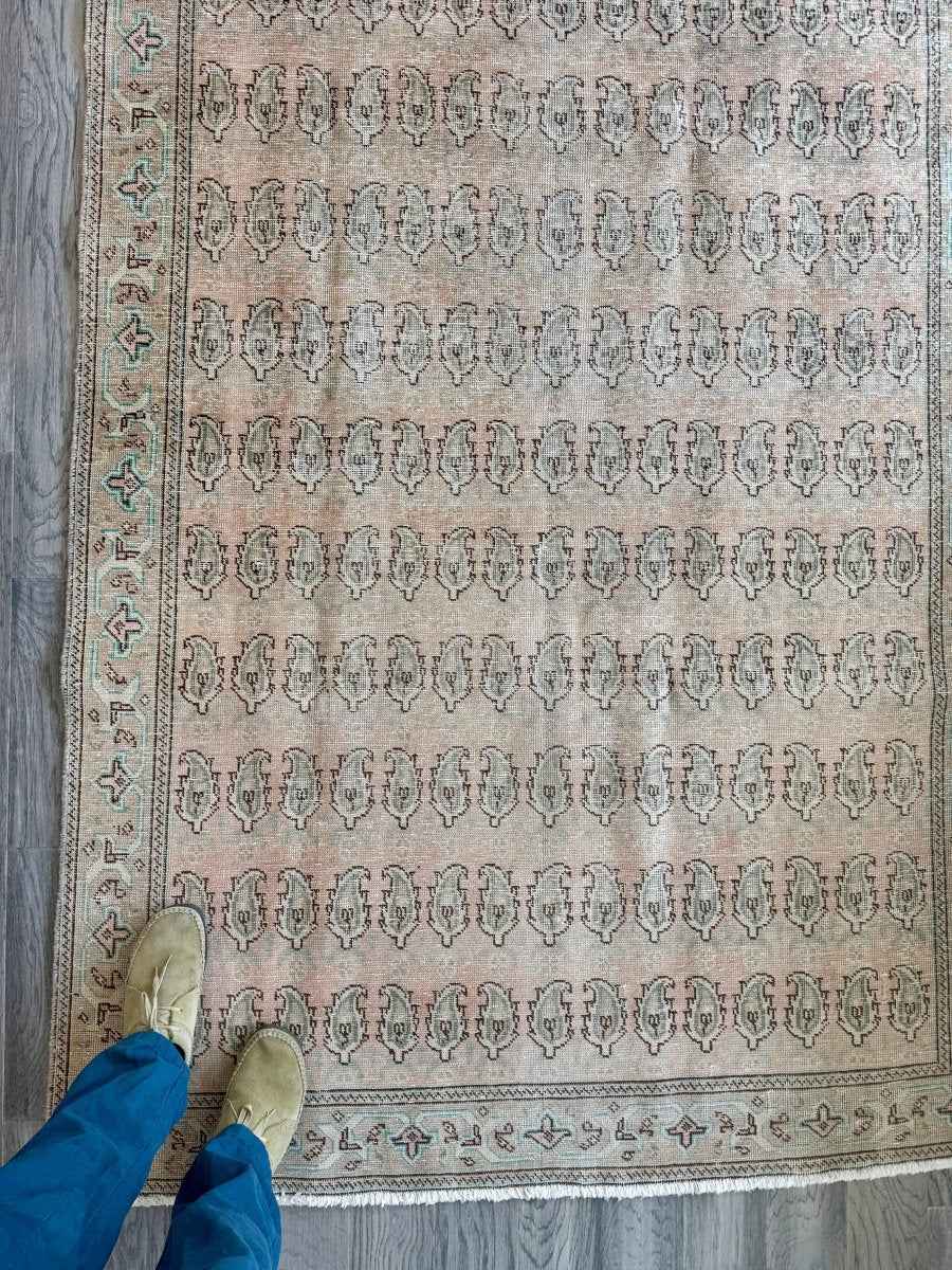 Tabriz Paisley Rug | 4' 9" x 11' 2"