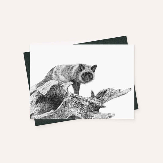 The silver fox - greeting card