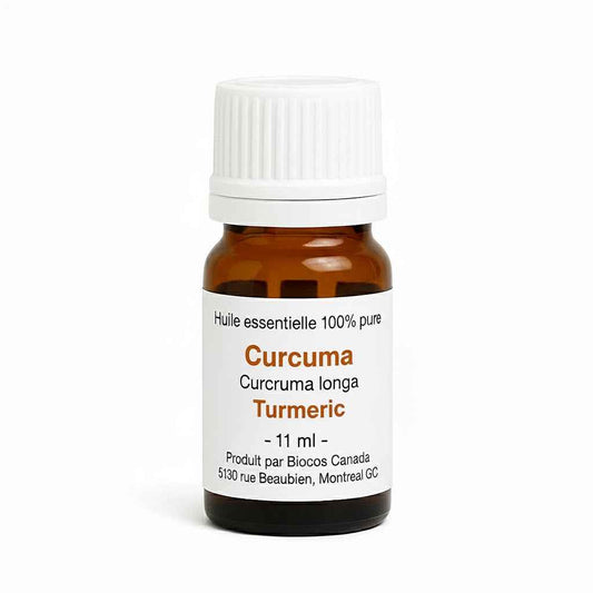 Curcuma