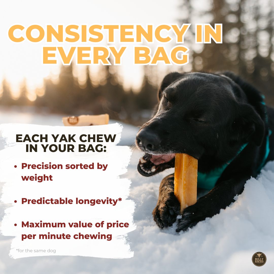 Mint Himalayan Yak Chew (MEDIUM)