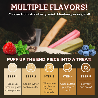 Himalayan Yak Chew Flavour Pack