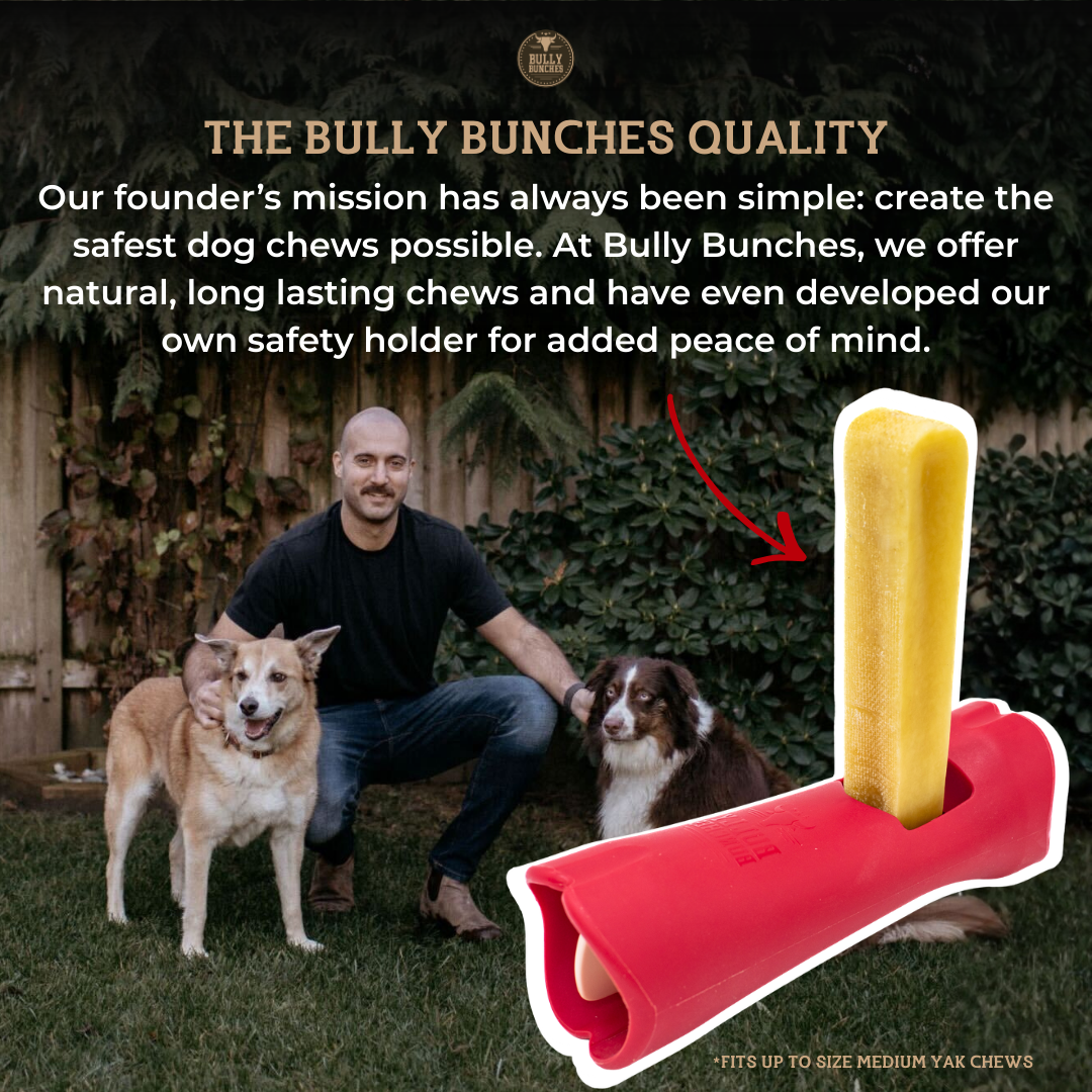 Himalayan Yak Chew (EXTRA LARGE)